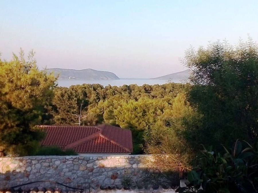 Photo 222827296