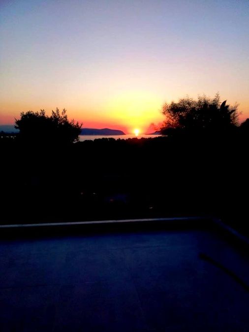 Photo 222827626