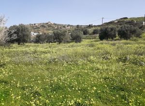 Naxos