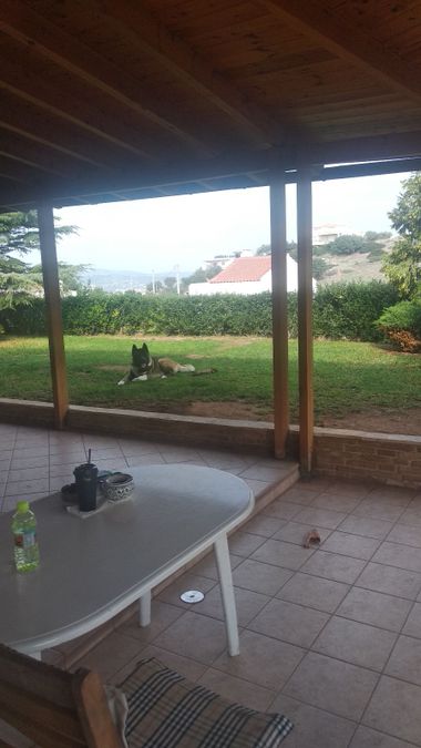Photo 223142617