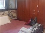 Photo 223142938