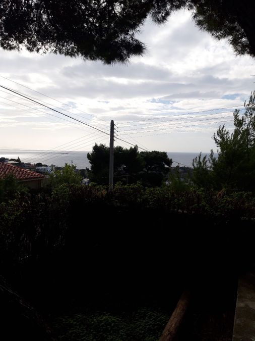 Photo 223151737