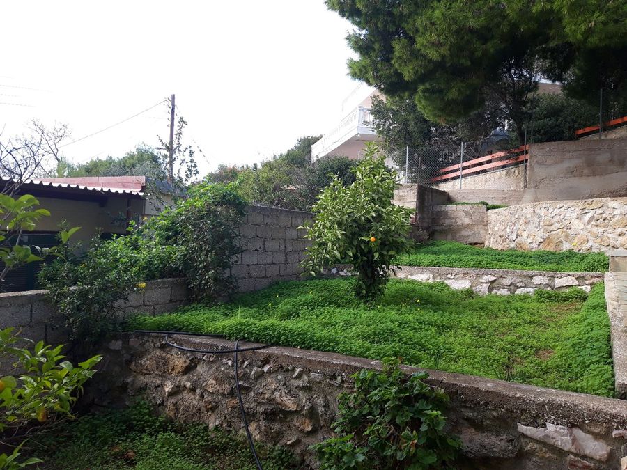 Photo 223151881