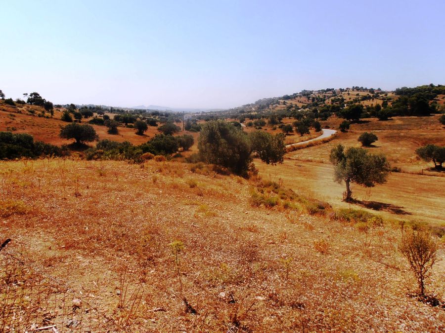 Photo 223205527