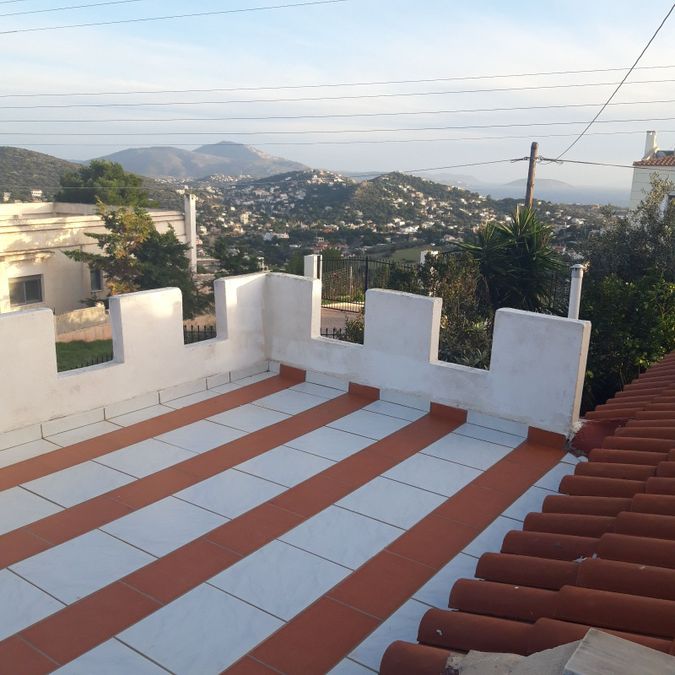 Photo 223259731