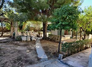 Plot Center