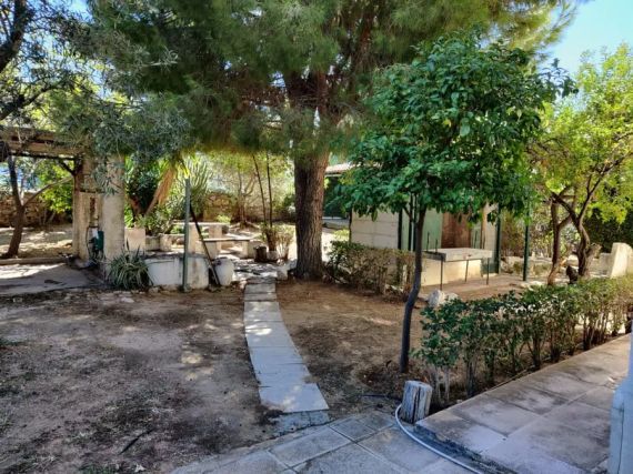 Plot Center property