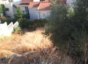 Plot Panorama