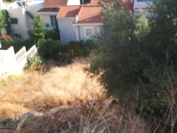 Plot Panorama