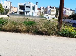 Plot Porto Rafti