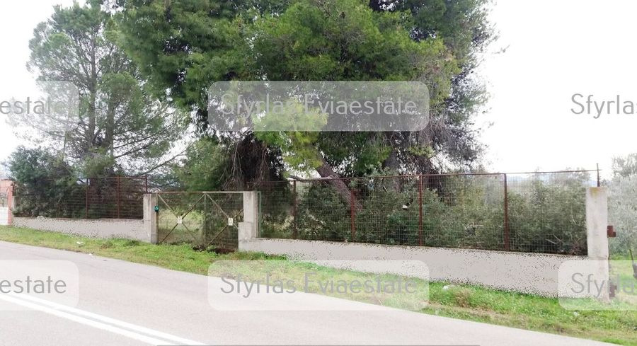 Photo 227836576