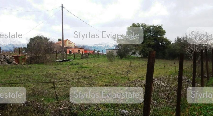 Photo 227836579