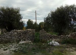Plot Gaios