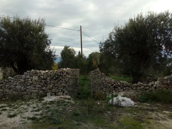 Plot Gaios