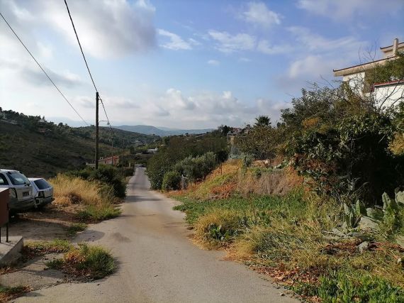 Plot Anthousa