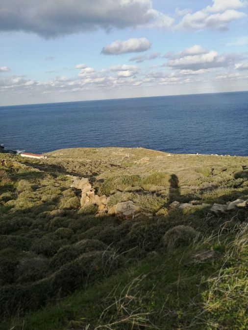 Syneti