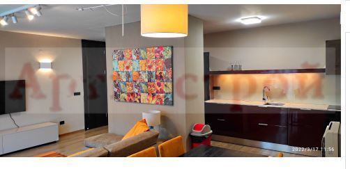 Снимка 229638967