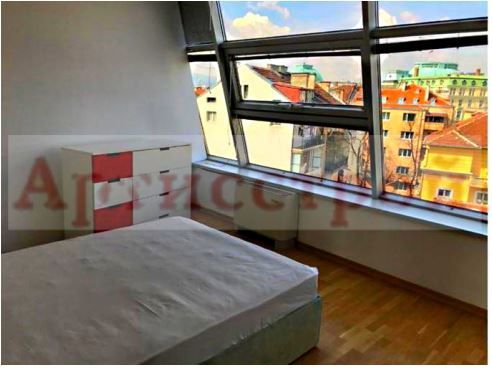 Снимка 229658413