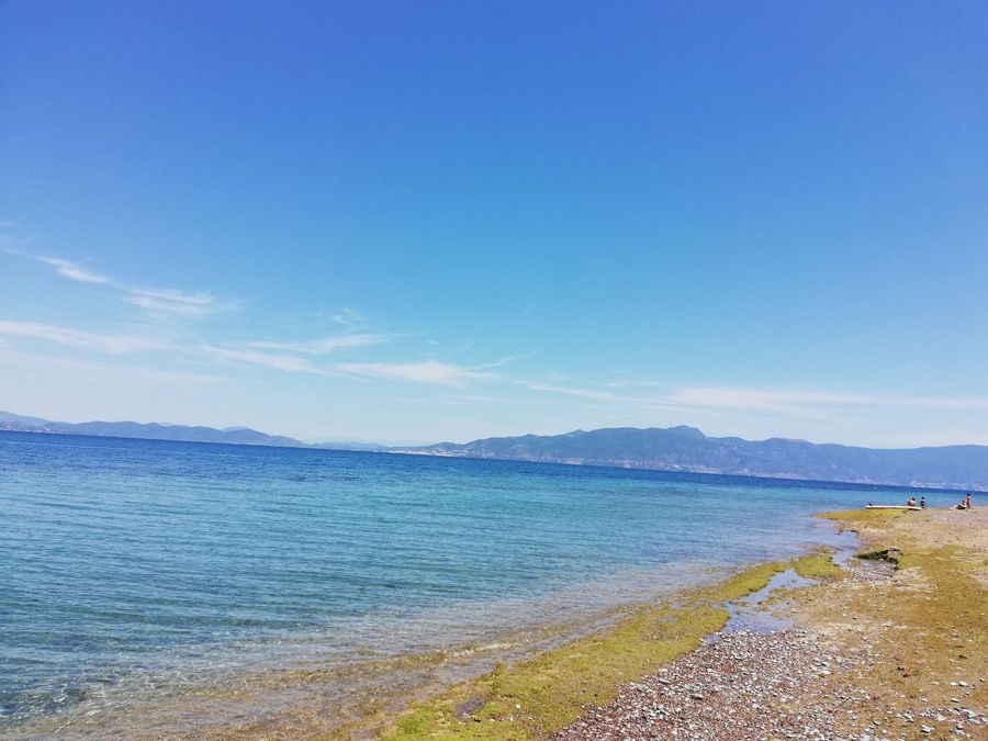 Photo 230590870