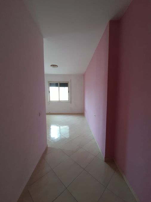 Photo 230883679