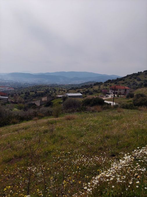 Photo 231149119