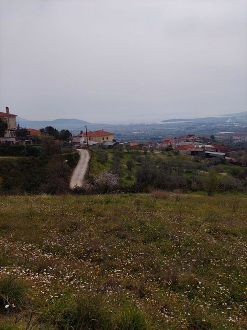 Photo 231149125