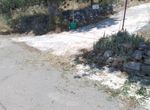 Photo 233349316