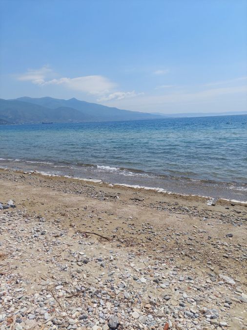 Photo 233401984