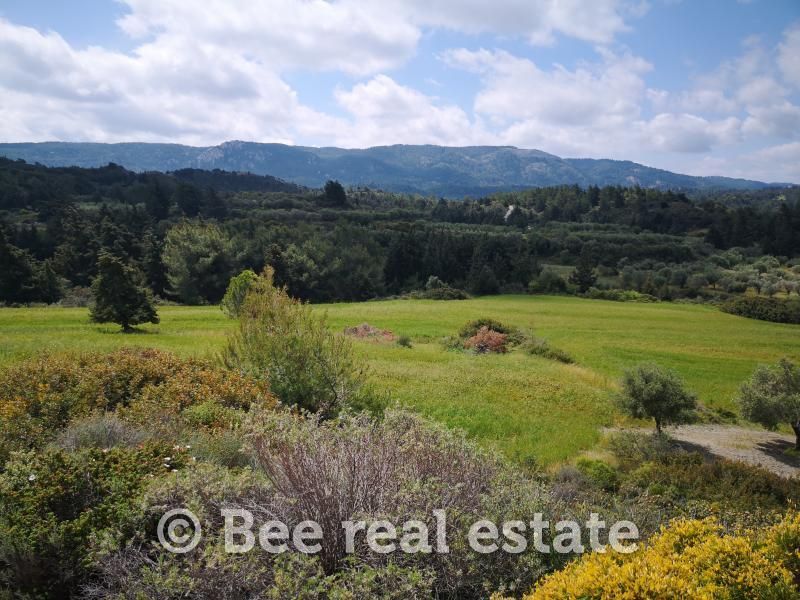 Farm parcel for sale, 32440sqm, 275,000€ Petaloudes Spiti24