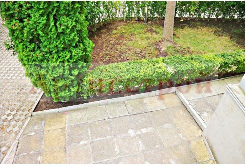 Снимка 234048523