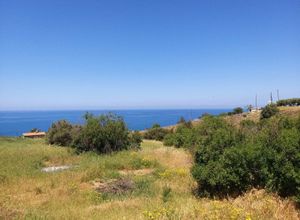 Find land plots for sale in Paphos | Spitogatos.com.cy