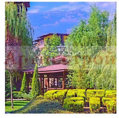 Снимка 240057991