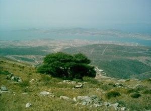 Paros