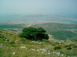 Paros
