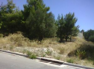 Plot Orio Kifisias