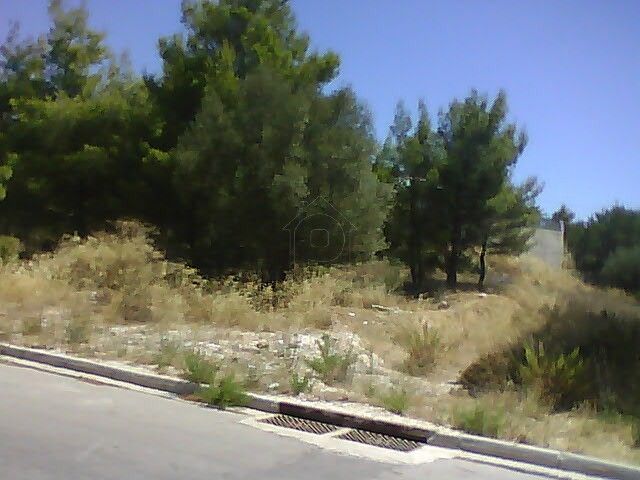 Plot Orio Kifisias