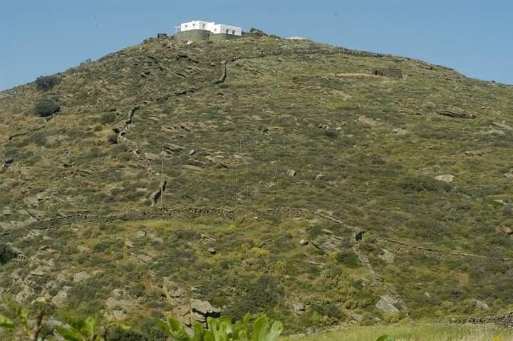 Artemonas