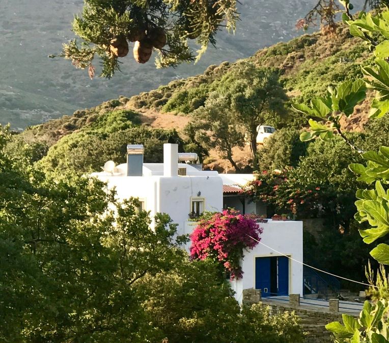 andros real estate house for sale andros buy property on andros island