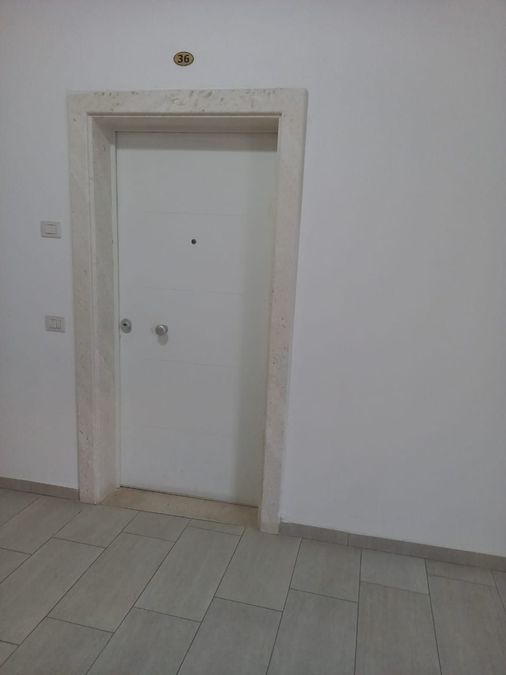 Photo 242083654