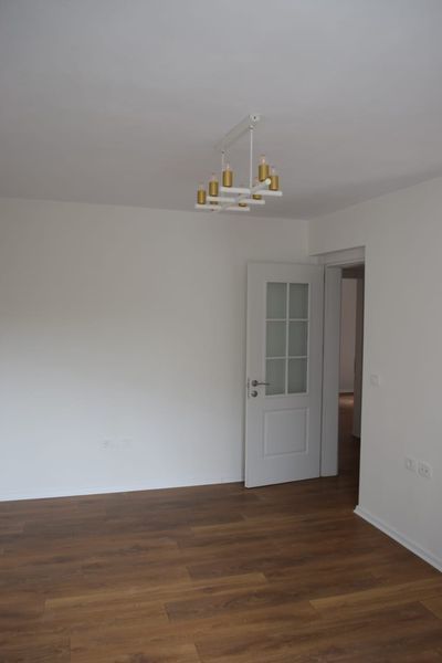 Foto 243411058