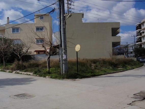 Plot Center