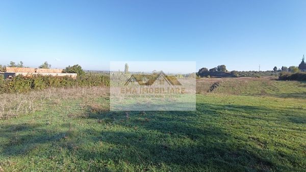 Photo 244130095