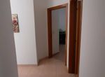 Photo 244236610