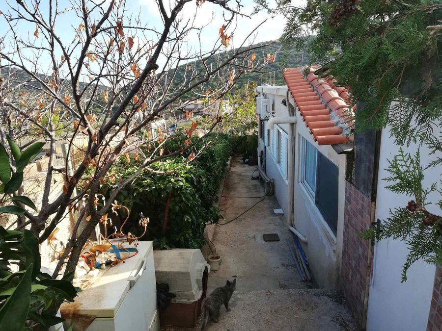 Foto 245152417