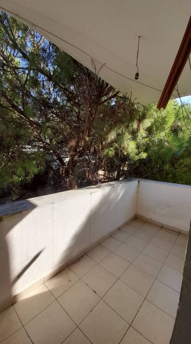 Photo 245241178