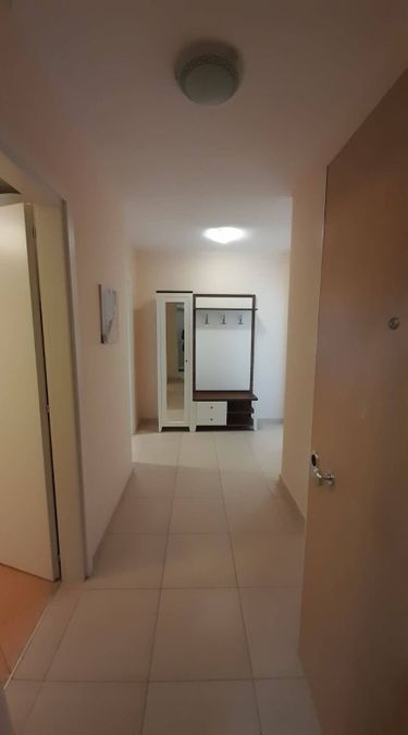 Photo 245282407