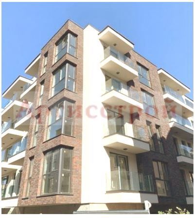 Снимка 245930503