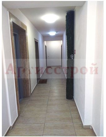Photo 245944666