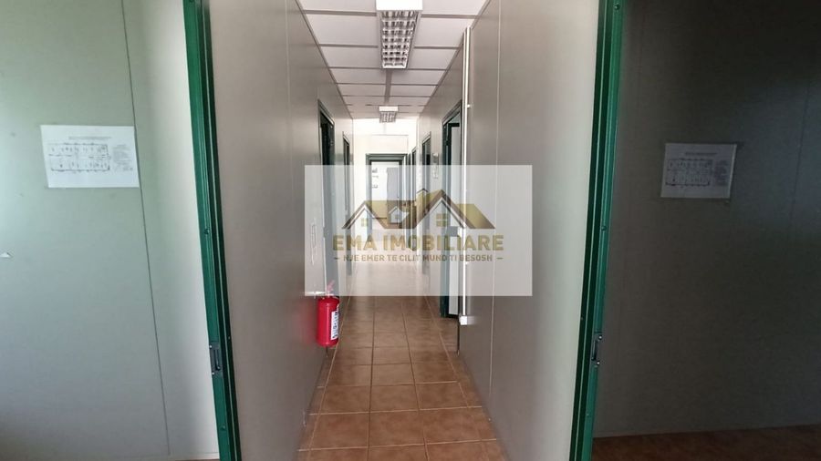 Photo 246174169