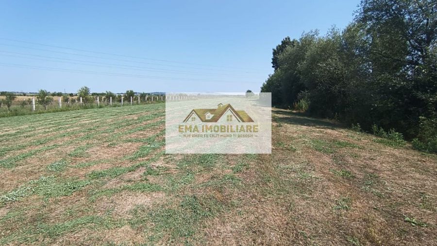 Photo 246375205